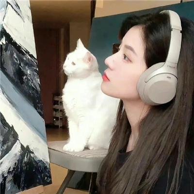 恋恋江湖